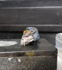 Premium Painted Wolf Male Head Sculpt Helmet Model For DIY Action Figure