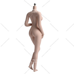 1:6 Female Makeup Seamless Body With detail Pale Skin Medium Breast 12″ Figure