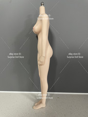 1:6 Female Makeup Seamless Body With detail Pale Skin Medium Breast 12″ Figure