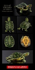 The Diversity of Life on Earth Advance Turtle 01 Figure Bandai Premium Gashapon