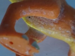 Learning Curve Dinosaur Train Boris T Rex Figure Henson 2010 Tyrannosaurus Toy