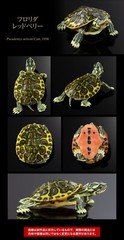 The Diversity of Life on Earth Advance Turtle 01 Figure Bandai Premium Gashapon