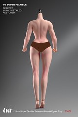 1/6 Female Natural Skin Big Bust Plump Silicone Seamless Body 12″ Action Figure