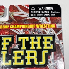 Sandman ECW Bash of the Brawlers Figure Signed Series 5 OSFTM 2000 MOC WWF WWE