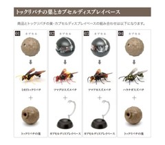 The Diversity of Life on Earth Potter Wasp Action Figure Bandai Capsule Toy