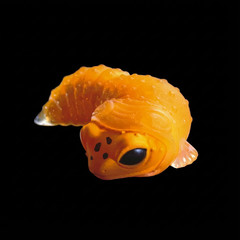 Yell Blind Box Gacha Cute Molting Lizard Figure 1 Random Japanese Capsule Toy
