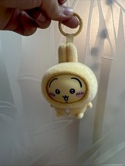 DISCONTINUED CONFIRMED BOX USA MINISO Chiikawa Pajamas Face Changing Keychain