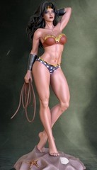 Wonder Woman 3d figure /statue 25 cm Handpainted Collectible