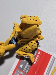 Transformers Universe Cheetor Deluxe Class Classics Action Figure