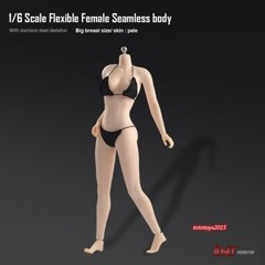 1:6 Female Pale Skin Large Bust Breast Figure Flexible Seamless 12 inch Body Toy