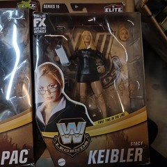 WWE Legends DX Elite Collection Series 15 X-PAC Stacy Keiber Action Figure Wcw