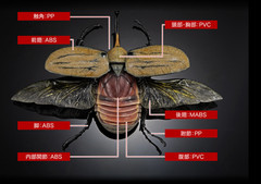 The Diversity of Life on Earth Advance Beetle 04 w/ stands Online version Bandai