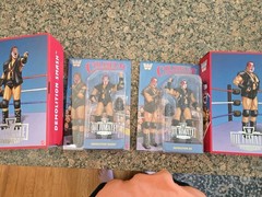 WWE Ringside Exclusive Ultimate Coliseum Pair Demolition Smash & Ax Brand New