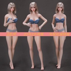 LDDOLL 28M 1/6 Steel Bone Finger Bone Seamless Flexible Body For 12″Figure