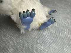 vintage BUMBLE ABOMINABLE SNOW MONSTER Playing Mantis 8″ FIGURE Rudolph