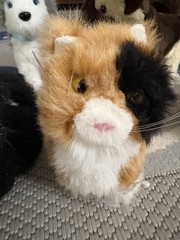 Lot of AG Doll Dogs and Cats