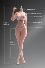 US YM507 1/6 Pale Skin Large Breast Muscle Girl 12″ Female Action Figure Body