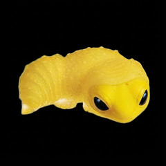 Yell Blind Box Gacha Cute Molting Lizard Figure 1 Random Japanese Capsule Toy