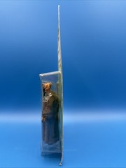 Star Wars Power Of The Jedi Plo Koon Jedi Master Figure 2000 Hasbro Kenner NEW