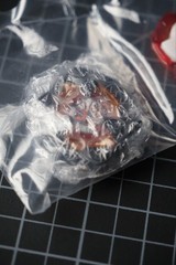 Beyblade X BX-00 Shark Edge 2-60GP CoroCoro Fishing Spirits Ver. Takara Tomy