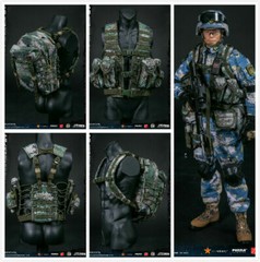 1/6th DAMTOYS 78068 PLA NAVY MARINE CORPS Action Figure In Stock