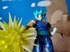Demoniacal Fit Ultimate Fighter Beyond Godlike SSB Vegito Matte Finish