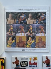 VTG Titan Sports WWF Book Sticker School Hulk Hogan LJN WWE toy LOT Wrestling