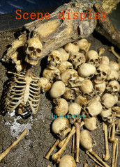 Skull Human Skeleton 1/6 PVC 3D Printed Model DIY Halloween Ornament Toys
