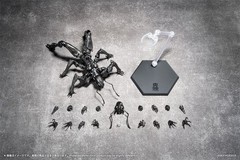 PSL SEXYiCE Vermin: Artificial Evolution B006 Ant 1/12 from JAPAN PRE ORDER
