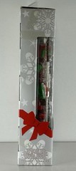 Star Wars Black Series 6-inch Holiday Edition Mandalorian Warrior Exclusive