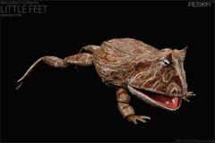 REBOR 1/2 Beelzebufo Action Figures Frog Decor Animal Model Adult Gift