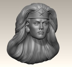 Amazon Lady Custom Action Figure Head 1:9 or 1:6 Mego