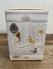Harry Potter Lord Voldemort Icon Light #003 NEW