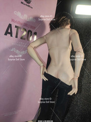 US Worldbox 1:6 AT201 Pale Skin Felxible Female Action Figure Body Doll Model