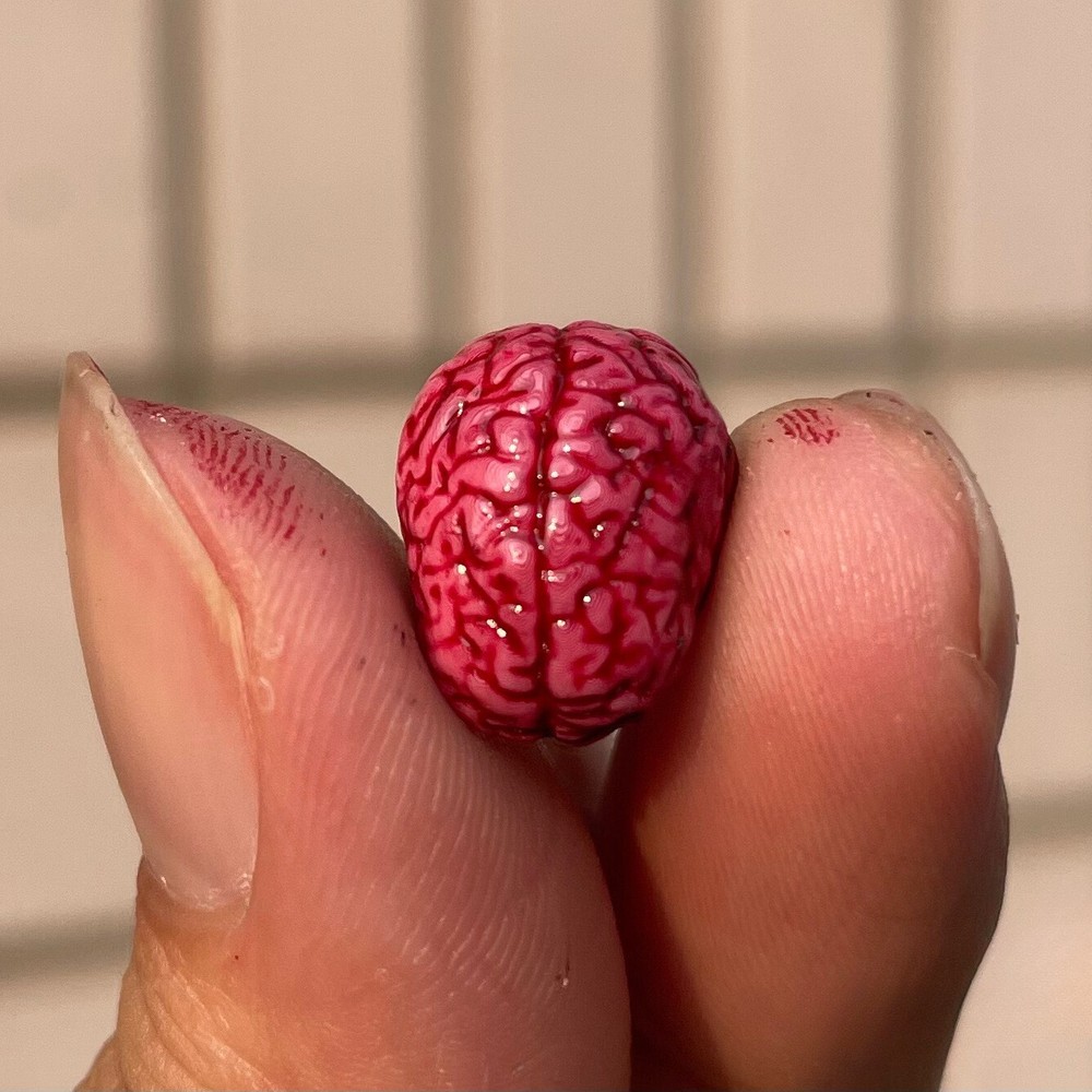2PC 1CM Human Brain 1:12 Scale Dollhouse Miniatures Dioramas Horror. Accessories