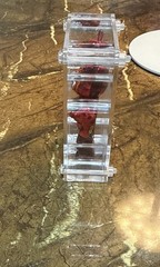 Bape Camo Tiger Red Shark Bearbrick 100% Medicom Be@rbrick Orphan A Bathing Ape