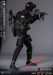 DAMTOYS 78073 1/6 PLA Navy Marine Corps Combat Frogman Special Forces In Stock