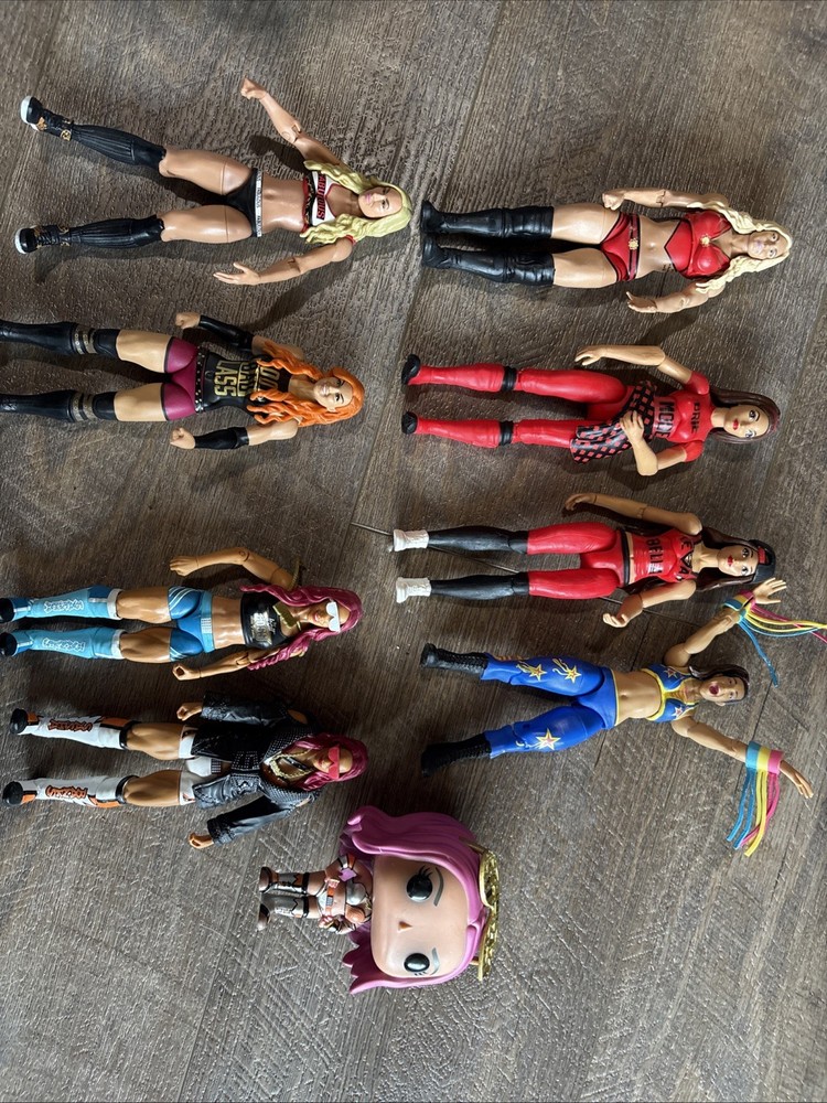 Wwe Women’s Wrestling Figure Lot. Sasha, Becky Lynch, Charlotte Flair, Bailey