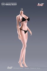 ANT N306 1:12 Female Seamless Body Pale Large Bust Plump Hip 6″ Action Figure