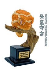 Gecko Models Collection Fat-Tailed Gargoyle Leopard Reptile Figurines 11cm Toy