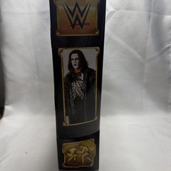 WWE Sting Defining Moments Series 6 Crow Edition Wrestling Action Figure Mattel