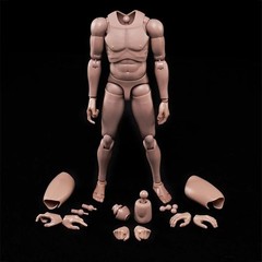 1:6 Scale Muscle Male Action Figure Skin 12 Inch Flexible Male Figure Body D…