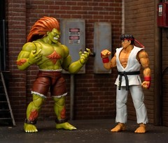 Jada Toys Street Fighter II 7″ Blanka Deluxe Action Figure Officially Licensed