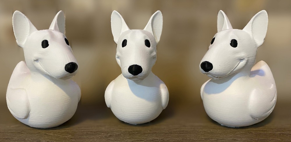 Bull Terrier Duck