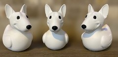 Bull Terrier Duck