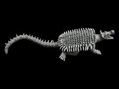 Anguirus 1955 Figure Toho Kaiju Collection DeAgostini Japan 17cm