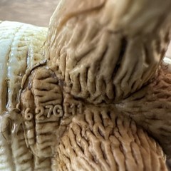 4.5” PVC Figure Male Ram Spiral Horns Textured