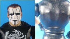 Sting WWE Mattel Legend WCW Big Gold Championship Belt Bat WCW AEW Crow