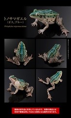 Black-spotted Pond Frog Figure Set of 4 Bandai Creature Encyclopedia Capsule Toy