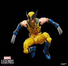 BRAND NEW Hasbro Marvel Legends Series Deadpool & Wolverine 6″ Figure NIB